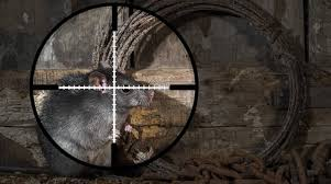 Rifle scope crosshairs on target