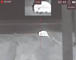 Thermal imaging of rabbit