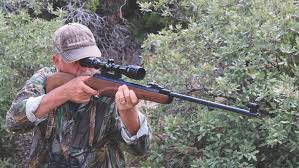Operator using tree support for stable shooting